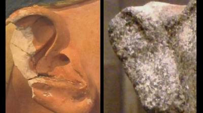 сравним раковины правого уха обеих скульптур