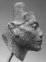 Nefertiti (profil)