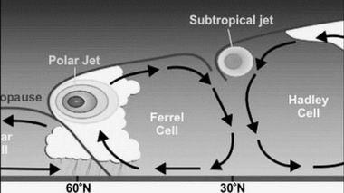 Ячейка Феррел в атмосфере Венеры отсутствует