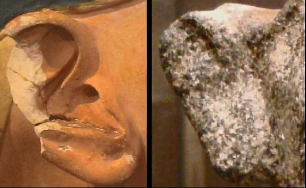 Сравните ушные раковины Нефертити