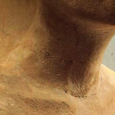 Шея Нефертити-10 и какие-то швы на ней