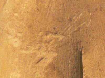 Набросок рисунка на плече Нефертити-10