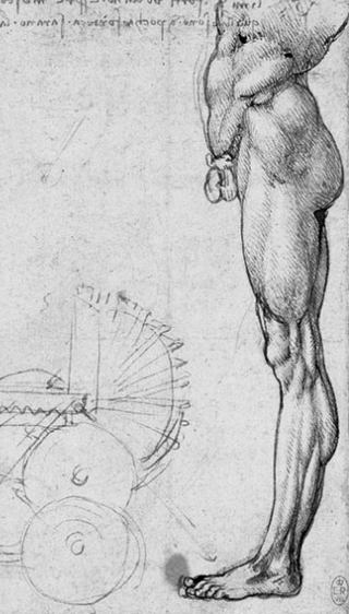Leonardo da Vinci 1490. Detail of Anatomical Studies